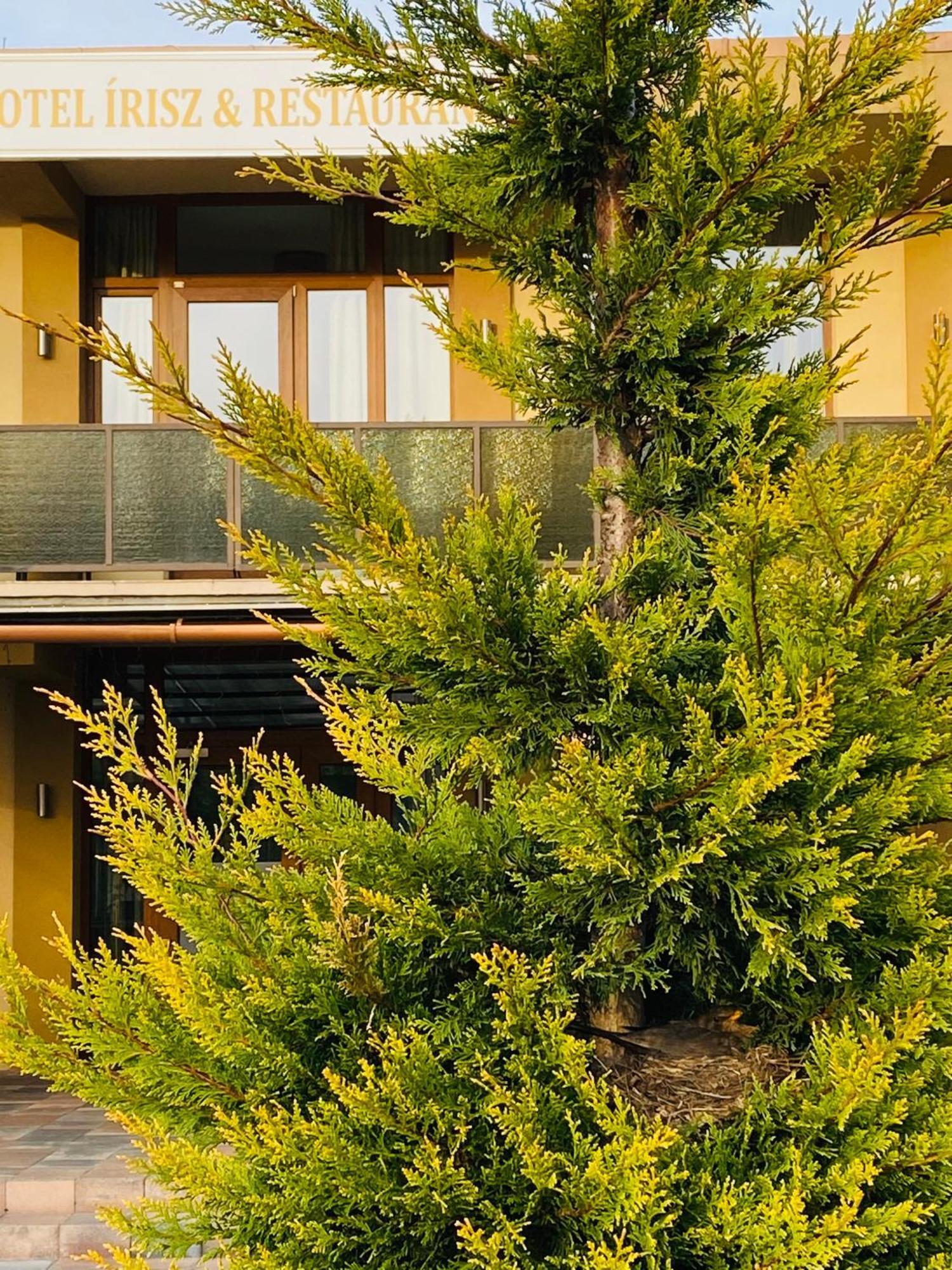 Hotel Irisz Nyíregyháza Exteriér fotografie
